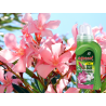 Nawóz mineral żel do oleandrów 250ml Agrecol