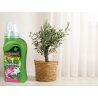 Nawóz mineral żel do oleandrów 250ml Agrecol