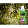Nawóz mineral żel do oleandrów 250ml Agrecol