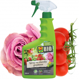 Spray na choroby grzybowe...