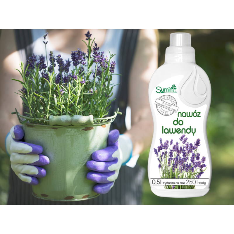 Nawóz do lawendy 500ml Sumin