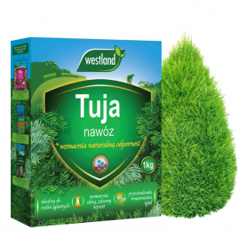 Nawóz do tui 1kg Westland