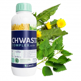 Chwastox Complex 260 EW 1L...