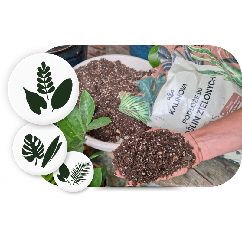 Ziemia typu bigos: podłoże do kwiatów Kalinova 8l