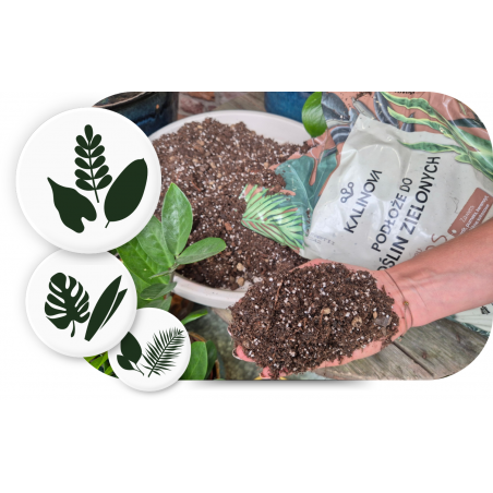 Ziemia typu bigos: podłoże do kwiatów Kalinova 8l