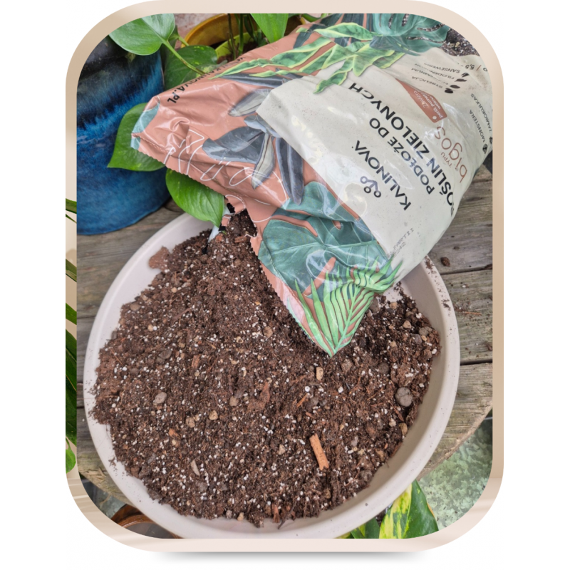 Ziemia typu bigos: podłoże do kwiatów Kalinova 8l