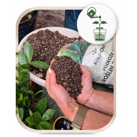 Ziemia typu bigos: podłoże do kwiatów Kalinova 8l