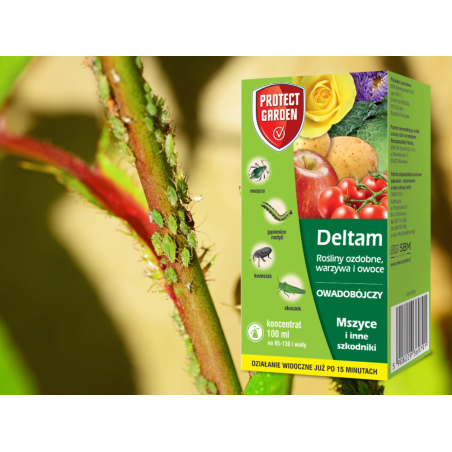 Deltam Decis SBM 100ml 15 EW na mszyce