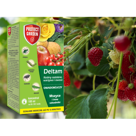 Deltam Decis SBM 100ml 15 EW na mszyce