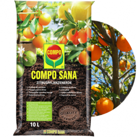 Ziemia podłoże do cytrusów...