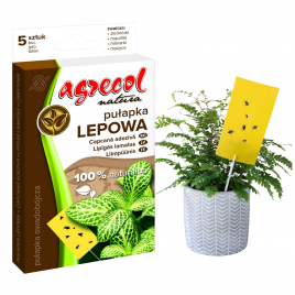 Pułapka lepowa owadobójcza...