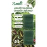 Pałeczki nawozowe do zielonych 30szt Sumin