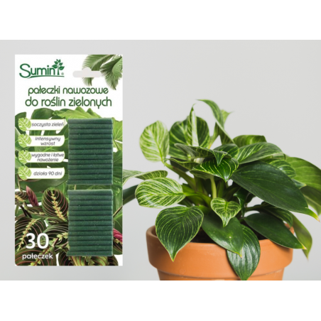 Pałeczki nawozowe do zielonych 30szt Sumin