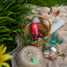 Nawóz do pomidorów Pomidoro 1L Substral
