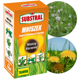 Mniszek Ultra 070EW 250ml...