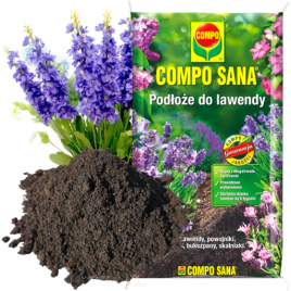 Ziemia podłoże do lawendy...