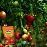 Nawóz do pomidorów Magiczna Siła 350g Substral