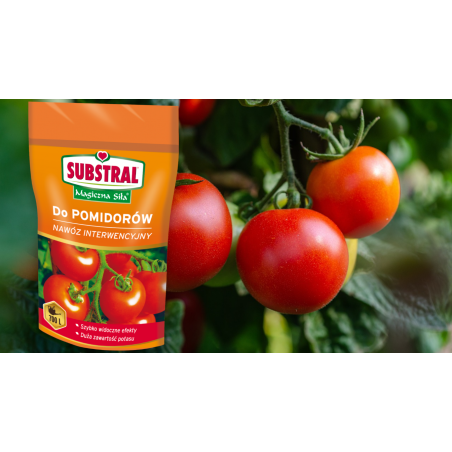 Nawóz do pomidorów Magiczna Siła 350g Substral