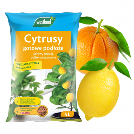 Ziemia do cytrusów z...