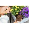 Podłoże ziemia uniwersalna 100% naturalna 5L COMPO BIO