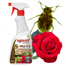 Spray na mszyce natura...