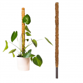 Palik podpora kokos 50cm 32mm Tin tours
