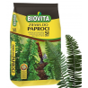 PODŁOŻE ZIEMIA DO PAPROCI z nawozem 5L Biovita
