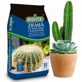Ziemia do kaktusów i...