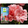 Ziemia do pelargonii z nawilżaczem 50L Kronen