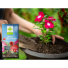Ziemia do pelargonii z nawilżaczem 50L Kronen