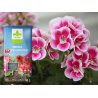 Ziemia do pelargonii z nawilżaczem 50L Kronen