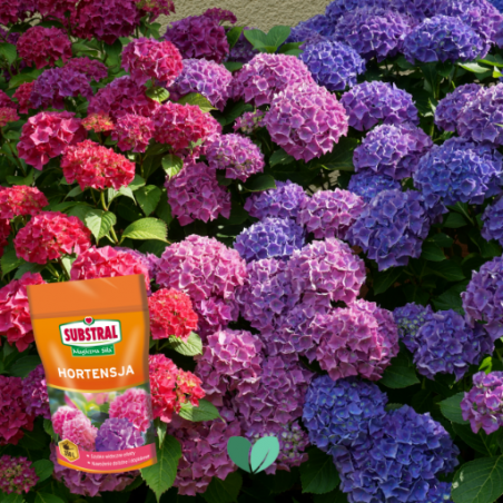 Nawóz do hortensji Magiczna Siła 350g Substral