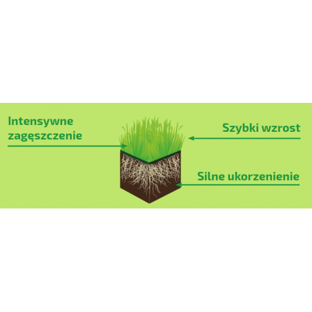 Nawóz do trawników szybki efekt 1kg Florovit