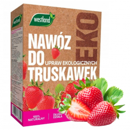 Nawóz do truskawek Bio 1kg Westland