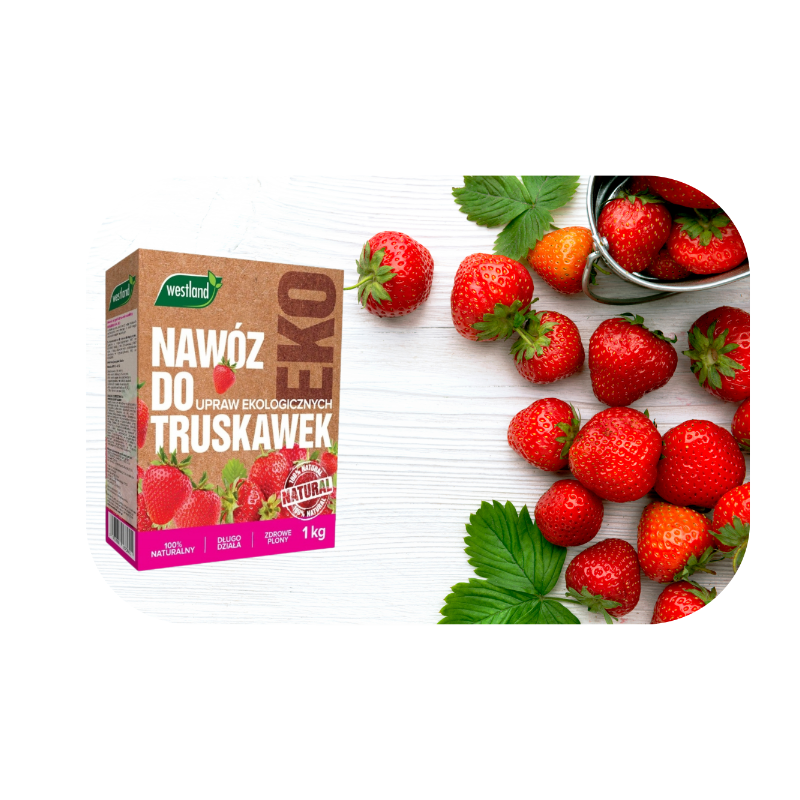 Nawóz do truskawek Bio 1kg Westland