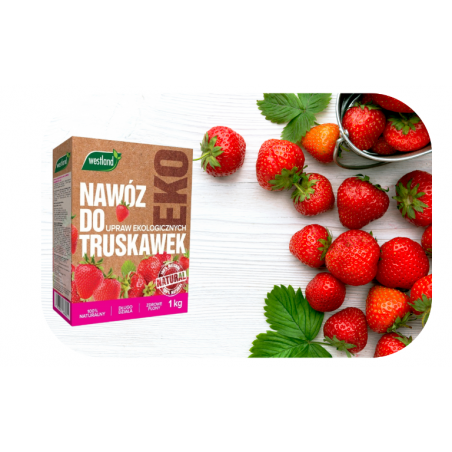 Nawóz do truskawek Bio 1kg Westland