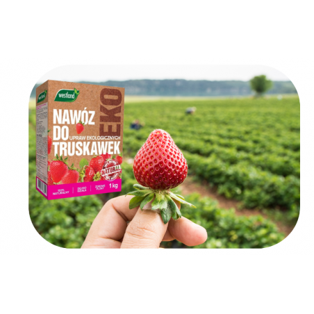 Nawóz do truskawek Bio 1kg Westland