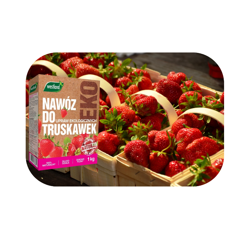 Nawóz do truskawek Bio 1kg Westland