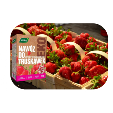 Nawóz do truskawek Bio 1kg Westland