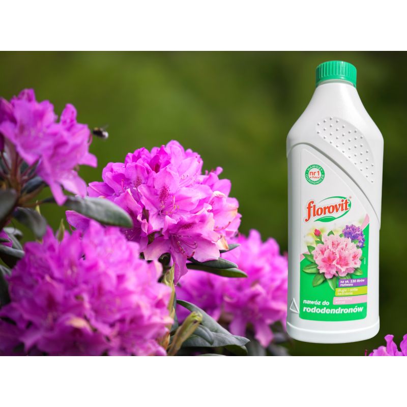 Nawóz do rododendronów 1L Florovit