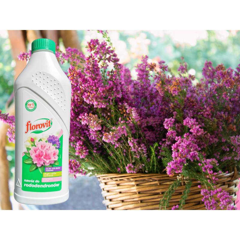 Nawóz do rododendronów 1L Florovit
