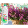 Nawóz do rododendronów 1L Florovit