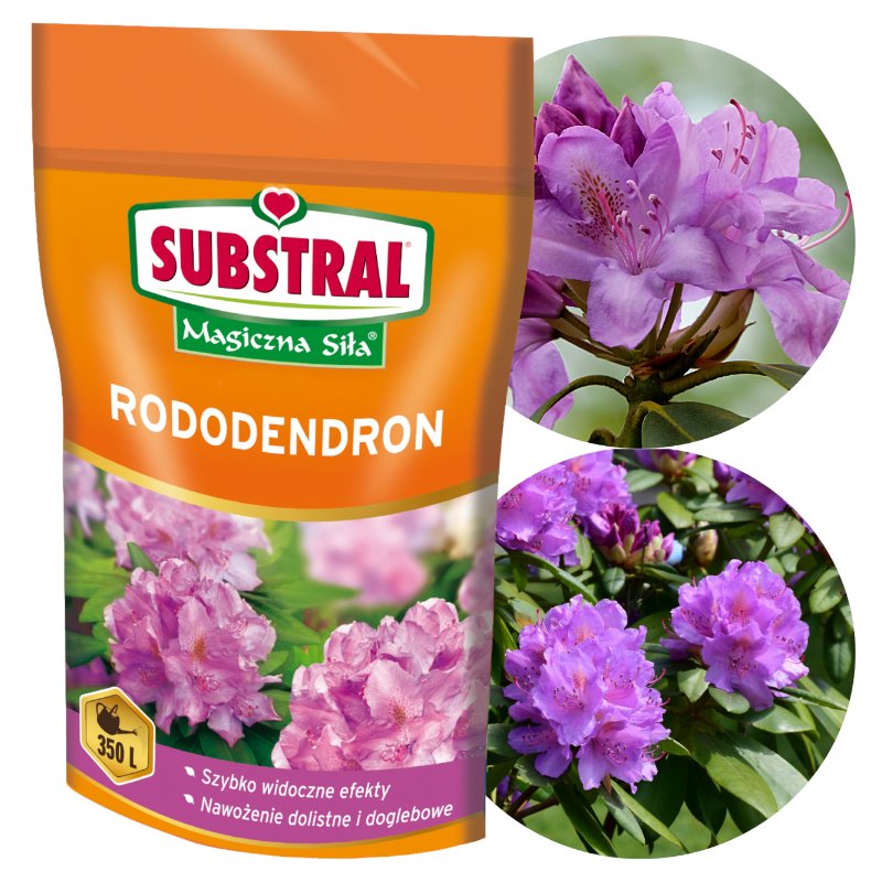 Nawóz do rododendronów Magiczna Siła 350g Substral
