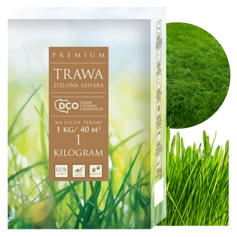 Nasiona traw Zielona Sahara 1kg DCO