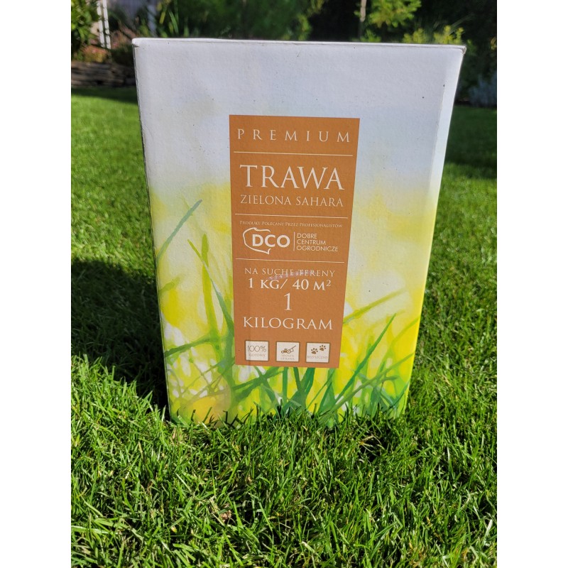 Nasiona traw Zielona Sahara 1kg DCO