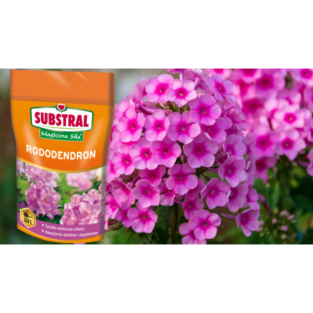 Nawóz do rododendronów Magiczna Siła 350g Substral