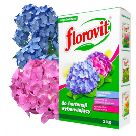Nawóz wybarwiający do hortensji 1kg Florovit
