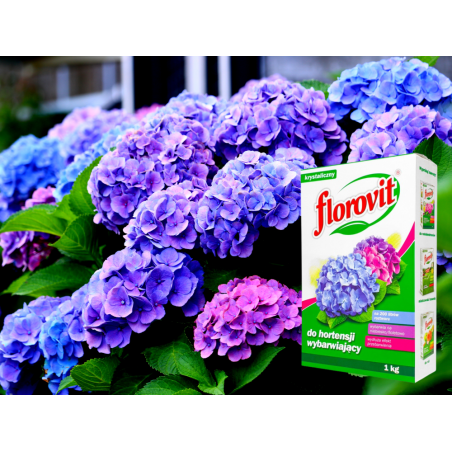 Nawóz wybarwiający do hortensji 1kg Florovit