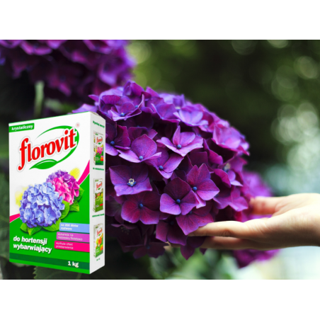 Nawóz wybarwiający do hortensji 1kg Florovit