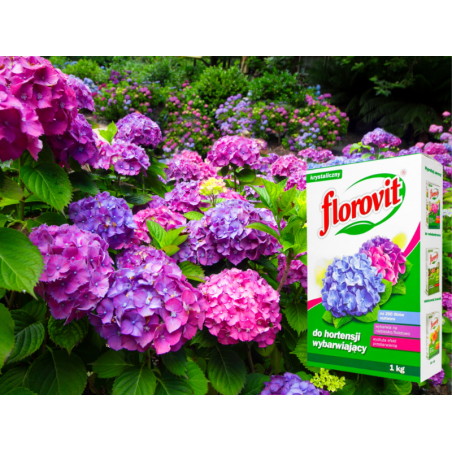 Nawóz wybarwiający do hortensji 1kg Florovit
